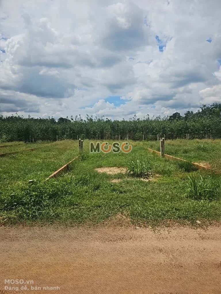 Bán đất đường số 13 Huyện Gò Dầu, Tây Ninh – giá 290 triệu - ảnh 1